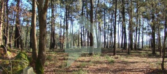 Земельный участок 3000м² в Барселуш, Португалия № 151662 4