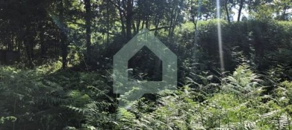 Земельный участок 3000м² в Барселуш, Португалия № 151662 46