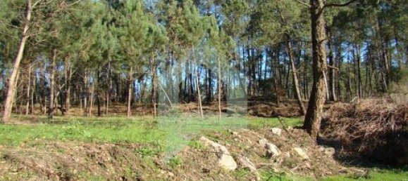 Земельный участок 3000м² в Барселуш, Португалия № 151662 7