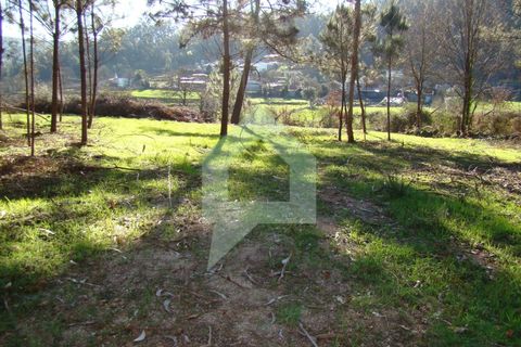 Земельный участок 3000м² в Барселуш, Португалия № 151662