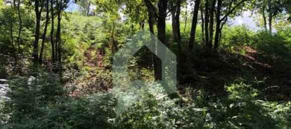 Земельный участок 3000м² в Барселуш, Португалия № 151662 47