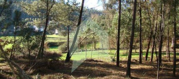 Земельный участок 3000м² в Барселуш, Португалия № 151662 26