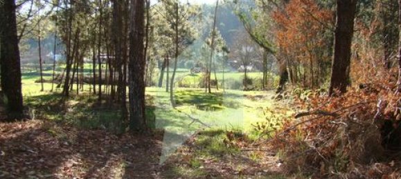 Земельный участок 3000м² в Барселуш, Португалия № 151662 5