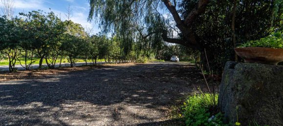 Propiedad comercial de 8 habitaciónes en Mascali, Italy No. 121820 12