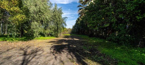 Propiedad comercial de 8 habitaciónes en Mascali, Italy No. 121820 13