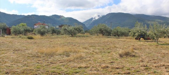 10300m² Hotel in Pieria, Greece No. 4510 2