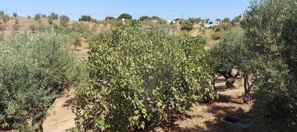 3 bedrooms House in Mouriscas, Portugal No. 171661 8