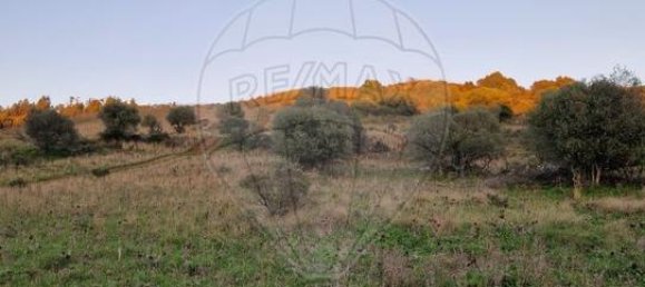 قطعة أرض في Sintra, Portugal رقم 67399 3