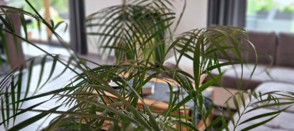 7 rooms Bungalow in Leutasch, Austria No. 202198 10