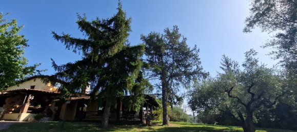 8 bedrooms Villa in Sacrofano, Italy No. 335794 7