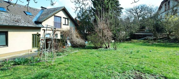 8 rooms House in Klosterneuburg, Austria No. 160861 5