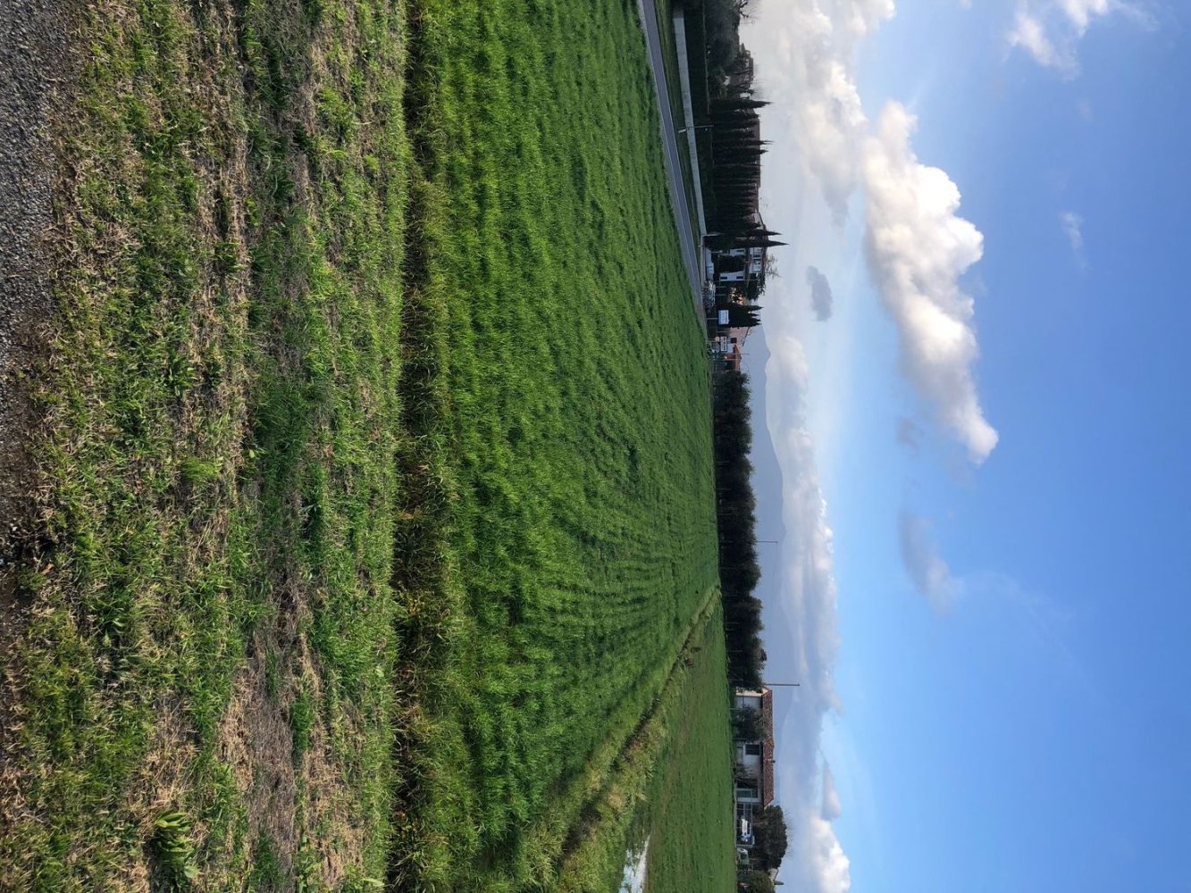 Grundstück in Ponsacco, Italy 3000m², Nr. 255236