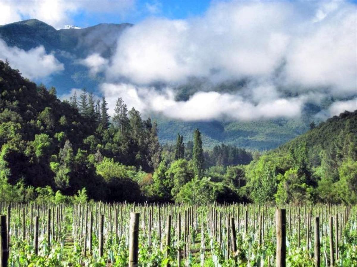 Земельный участок в Вилла О'Хиггинс, Чили № 1094