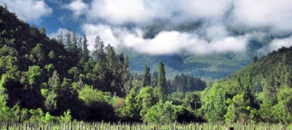 Земельный участок в Вилла О'Хиггинс, Чили № 1094 2