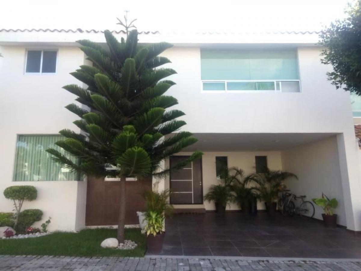 5 غرف نوم منزل في Puebla, Mexico رقم 181964