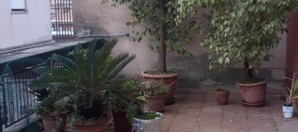 4-Zimmer Wohnung in Massa, Italy, Nr. 39081 6