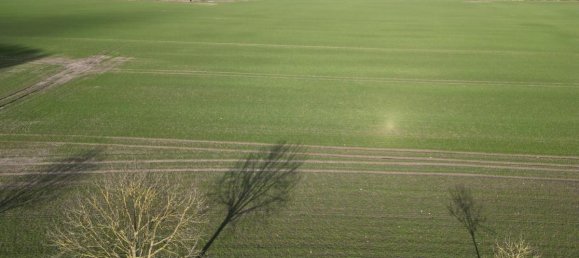Grundstück in Altmarkkreis Salzwedel, Germany, Nr. 310854 4