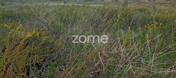 Casa T3 em Sintra, Portugal N.º 149821 49