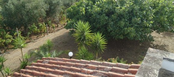 4 rooms Villa in Matino, Italy No. 230816 10