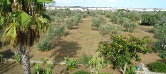 4 rooms Villa in Matino, Italy No. 230816 8