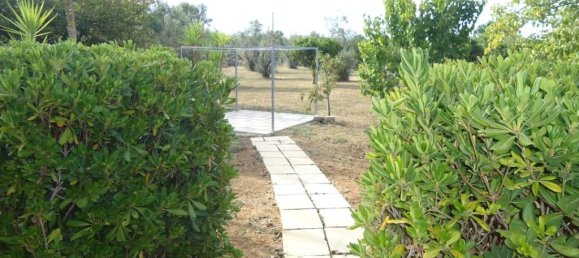 4 rooms Villa in Matino, Italy No. 230816 6