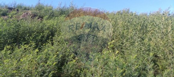 Grundstück in Santa Eulalia, Portugal 28386m², Nr. 32283 8