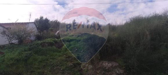 Grundstück in Santa Eulalia, Portugal 28386m², Nr. 32283 19