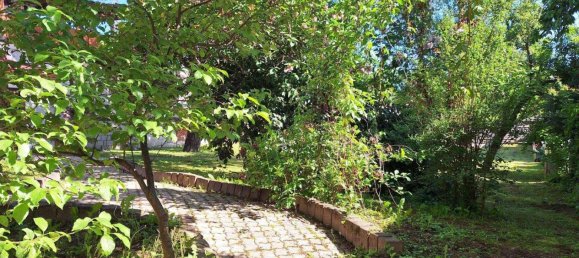 6 rooms House in Grosspetersdorf, Austria No. 246702 25