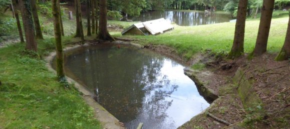 Imóvel comercial em Nestelbach bei Graz, Austria 60 m² N.º 134222 24