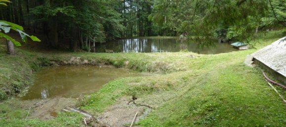 Imóvel comercial em Nestelbach bei Graz, Austria 60 m² N.º 134222 25