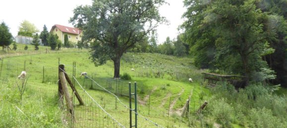 Imóvel comercial em Nestelbach bei Graz, Austria 60 m² N.º 134222 19