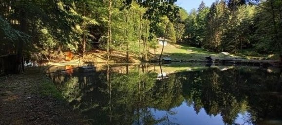 Imóvel comercial em Nestelbach bei Graz, Austria 60 m² N.º 134222 14