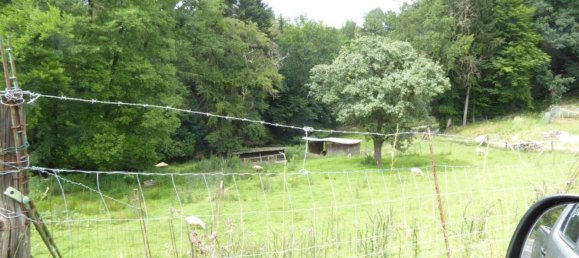 Imóvel comercial em Nestelbach bei Graz, Austria 60 m² N.º 134222 16