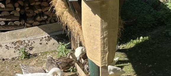 Imóvel comercial em Nestelbach bei Graz, Austria 60 m² N.º 134222 2