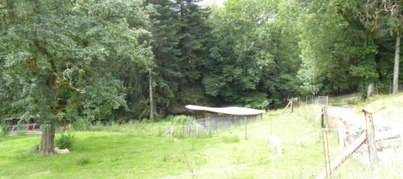 Imóvel comercial em Nestelbach bei Graz, Austria 60 m² N.º 134222 17