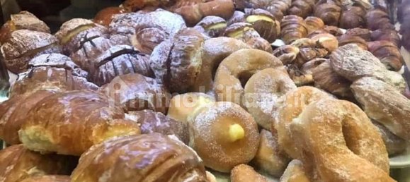 2 rooms Commercial property in Rome, Italy No. 336142 14