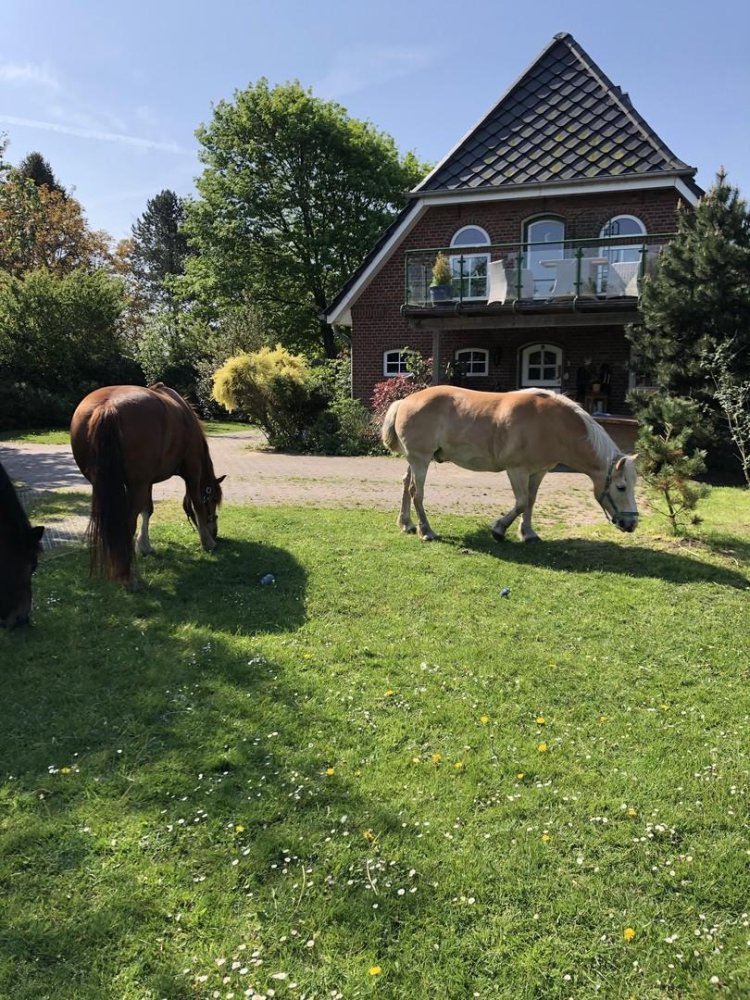 3 chambres Maison à Nordfriesland, Germany No. 73825