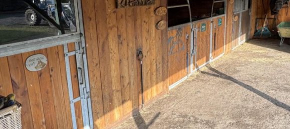 3 chambres Maison à Nordfriesland, Germany No. 73825 15