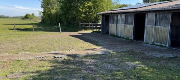 3 chambres Maison à Nordfriesland, Germany No. 73825 34