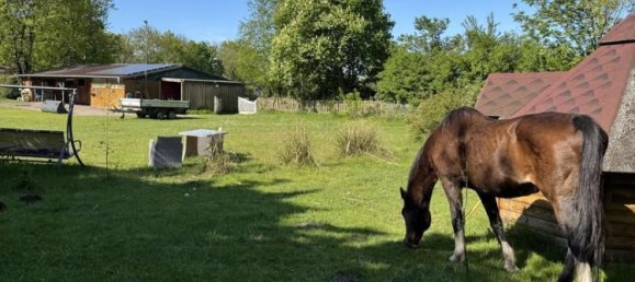 3 chambres Maison à Nordfriesland, Germany No. 73825 38
