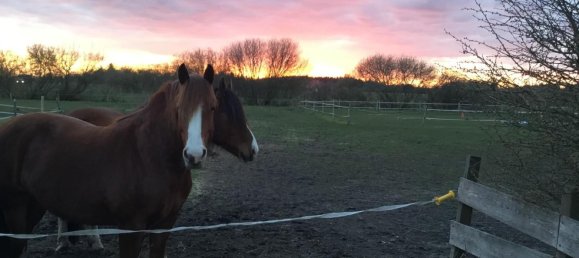 3 chambres Maison à Nordfriesland, Germany No. 73825 21