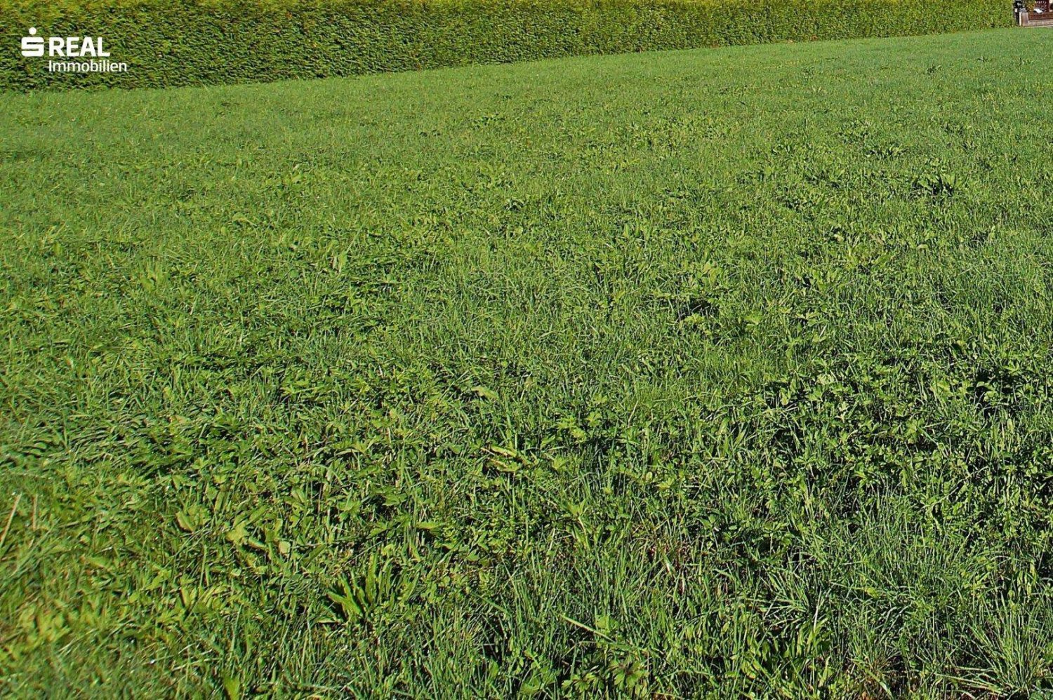 2000m² Land in Jennersdorf, Austria No. 30629