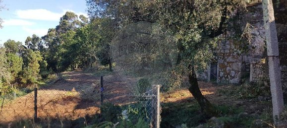 2 bedrooms House in Ponte de Lima, Portugal No. 21334 7