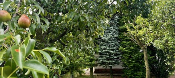 3 rooms House in Weisensee, Germany No. 93775 2