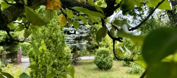 3 rooms House in Weisensee, Germany No. 93775 3