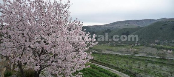 8 bedrooms Commercial property in Taberno, Spain No. 7322 26