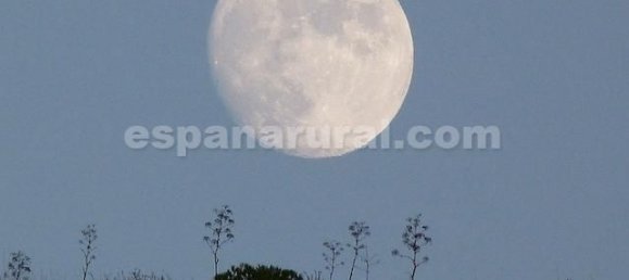 8 bedrooms Commercial property in Taberno, Spain No. 7322 28