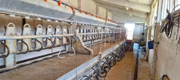 Gewerbliche Immobilie in Monteverdi Marittimo, Italy 898m², Nr. 374764 8