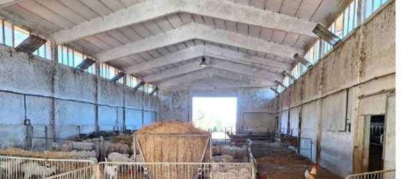 Gewerbliche Immobilie in Monteverdi Marittimo, Italy 898m², Nr. 374764 2