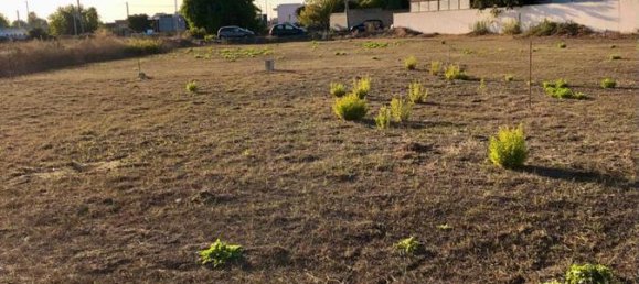 7-Zimmer Haus in Cursi, Italy, Nr. 174088 3